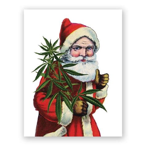Cannabis Santa Holiday Card The Mincing Mockingbird And The Frantic Meerkat