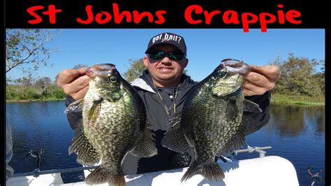St Johns River Crappie Fishing Youtube