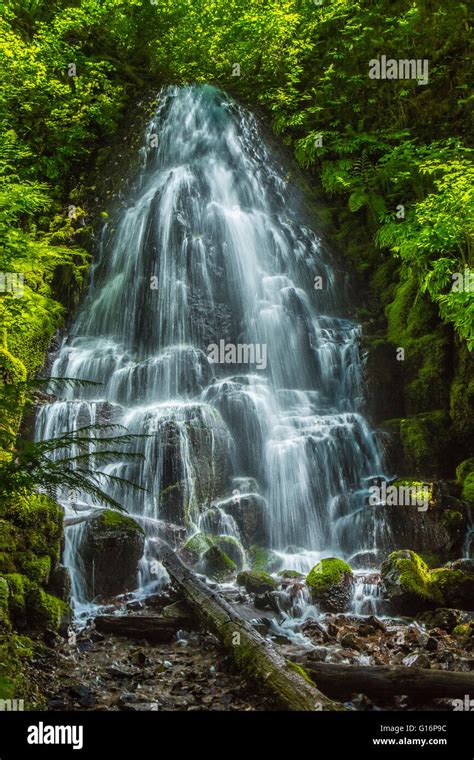 Fairy Falls Columbia River Gorge Oregon Usa Stock Photo Alamy