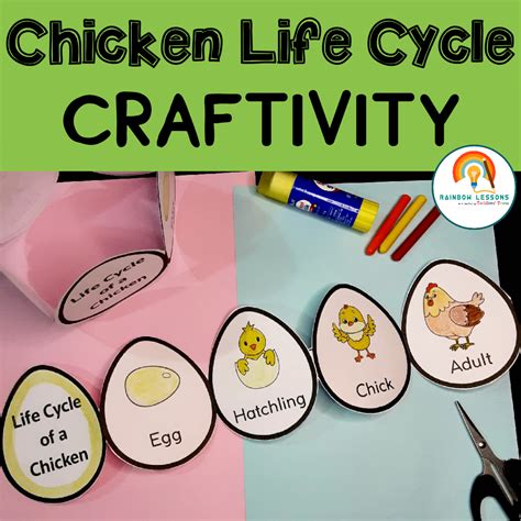 Chicken Life Cycle Craft Life Cycle Of A Chicken Life Cycle Of Chicken Made By Teachers