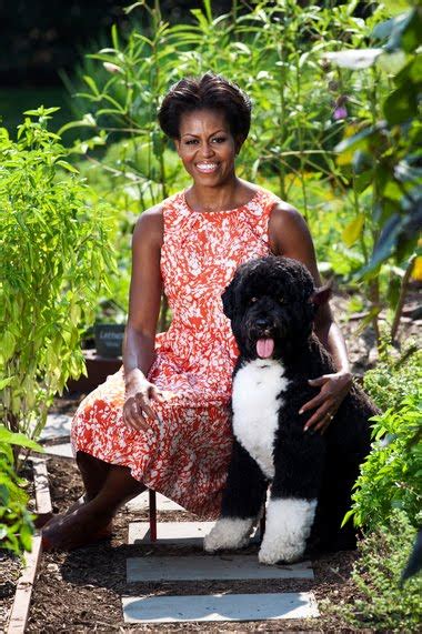 First Lady Michelle Obama Releases New Official White House Portrait