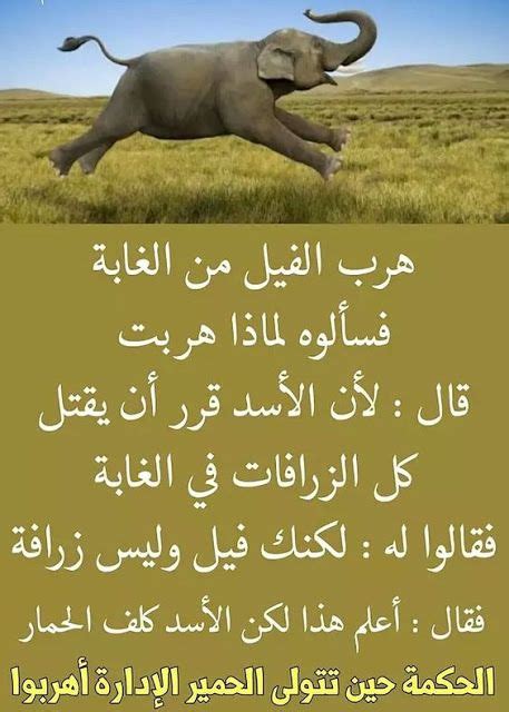 Sayings and proverbs and the rule contains a . خلفيات مكتوب عليها كلام قوي وحكم مميزة in 2021 | Funny ...