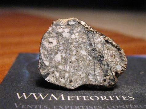 Dhofar 007 Eucrite Cumulate Full Slice Achondrite Meteorite 23×