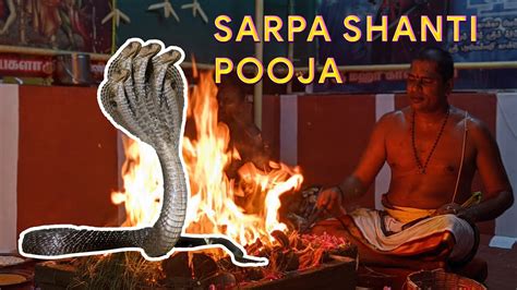 Sarpa Shanti Homam Sarpa Shanti Pooja For Remove Dosha Youtube