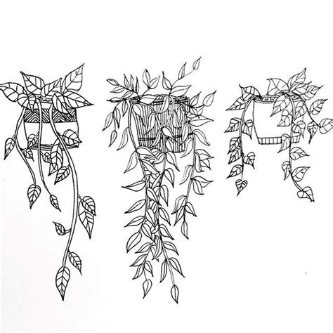 The 25+ best Vine drawing ideas on Pinterest | Leaves doodle, Doodle