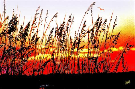 Sunset Through The Tall Grass Painting By Chaz Daugherty Fine Art America