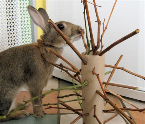 the stick monster new bunny toy idea