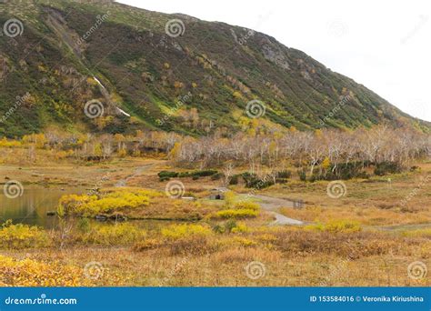 Beautiful Colorful Autumn Landscape In Vachkazhetz Volcano Kamchatka