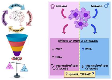 Ijms Free Full Text “bridging The Gap” Everything That Could Have