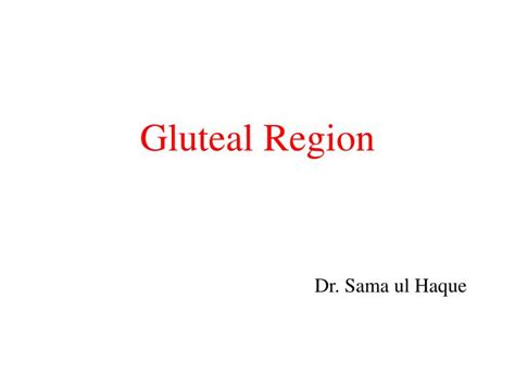 Ppt Gluteal Region Powerpoint Presentation Id3036676