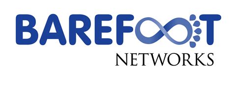 Barefoot Networks Profile