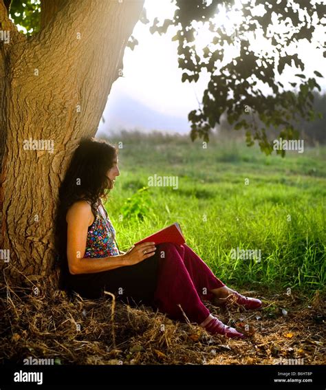 Woman Sitting Under Tree Reading A Book Stock Photo Alamy