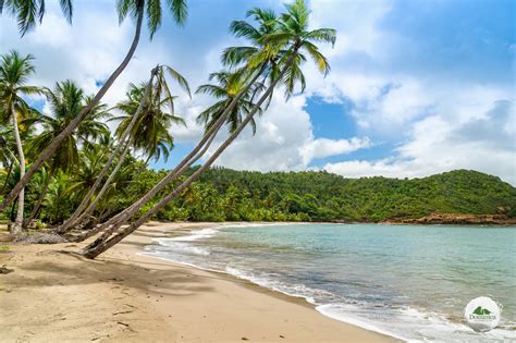 does dominica have nice beaches techtesy