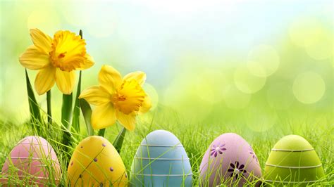 Easter Spring Flowers Eggs Basket Hd Wallpaper