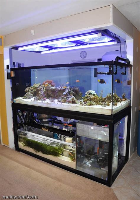 Tank Stands Wood Versus Steel Aquarium Aquarium Stand Saltwater