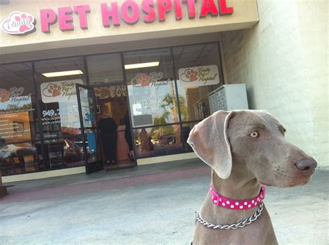 Call us to make an appointment today! Trinity Pet Hospital - 69 Photos & 232 Reviews ...