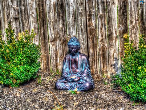 Check spelling or type a new query. Image result for lord buddha photo hd 3d download | Lord ...