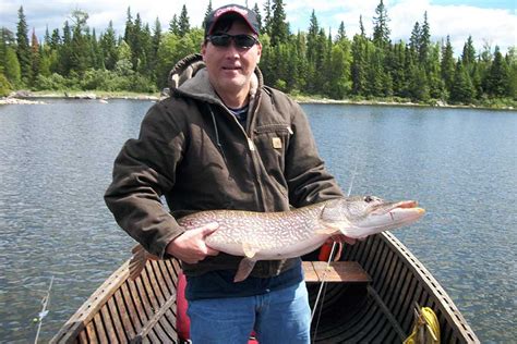 Northern Pike Fishing Erringtons Wilderness Island Ontario Canada