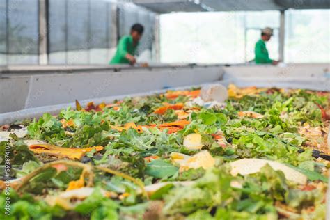 A Food Waste Farm That Reuse And Reduce Food Waste By Using Black