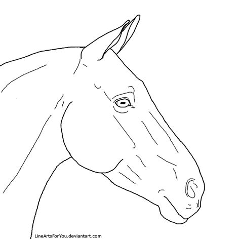 Horse Head Free To Use Lineart By Lineartsforyou On Deviantart