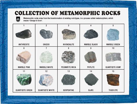 Mr15pm Collection Of 15 Metamorphic Rocks Pm 1778×1357 Rock