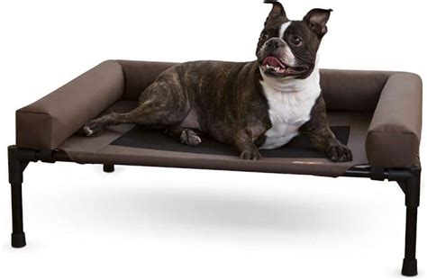 9 Best Outdoor Dog Beds 2021 Reviews Sleep And Relax