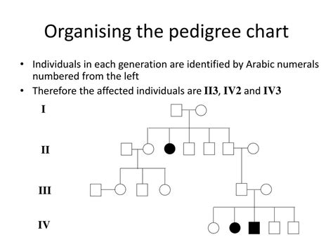 Ppt Pedigree Charts Powerpoint Presentation Free Download Id2682368