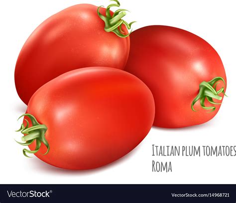 Italian Plum Tomatoes Roma Royalty Free Vector Image