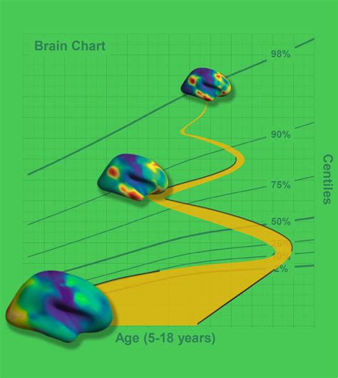 Neuroimaging Brain Growth Charts A Road To Mental Health Xi Nian Zuo
