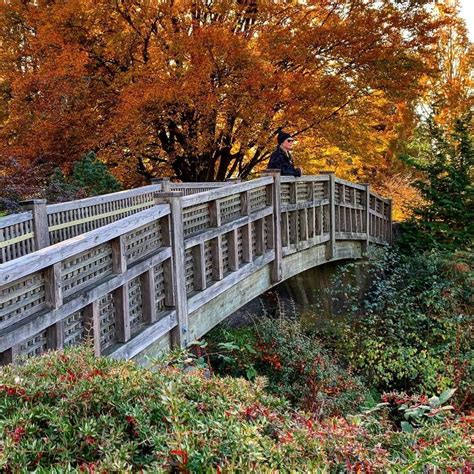 9 Best Spots To See Fall Foliage In Vancouver Granville Island