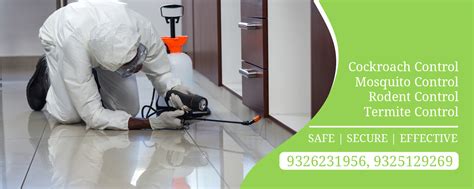 We focus on inspection and introduce the least amount of pest control materials in environment. Pest Control Services Pune, Pest Control in Pune - Clean ...