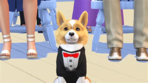 The Sims Blog Create The Most Unique Pets With Create A Pet Sims Online