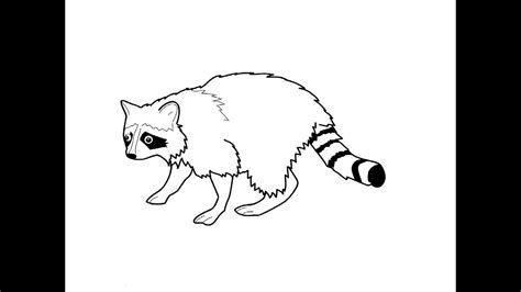 Step by step instructions for drawing​​​ a raccoon. How to Draw a Raccoon / Как нарисовать енота - YouTube