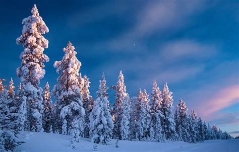 Finland Winter Wallpapers Wallpaper Cave