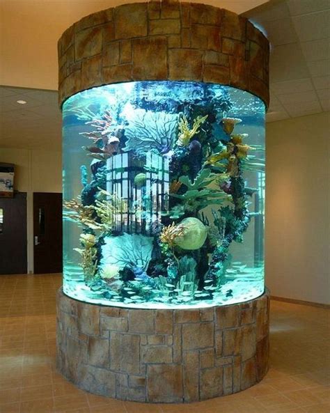 Goldfish Aquarium Design Ideas ~ Pin By Navarro Edwards On Aquarium