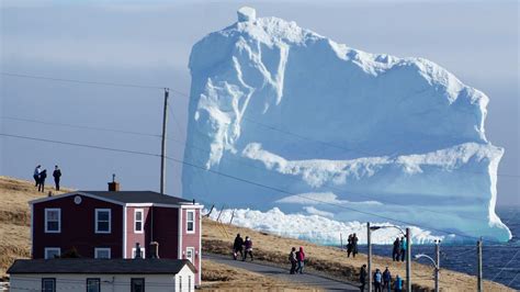 A Prime View Of Iceberg Alley In Newfoundland Canada CGTN