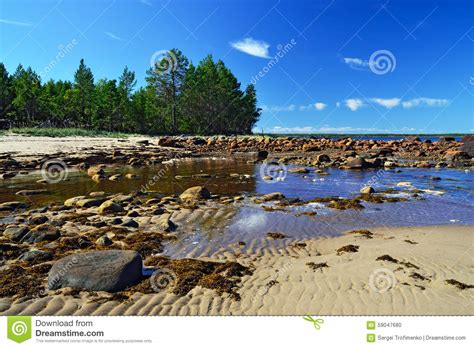 White Sea Shore During Low Tide Karelia Russia Stock Photo Image Of
