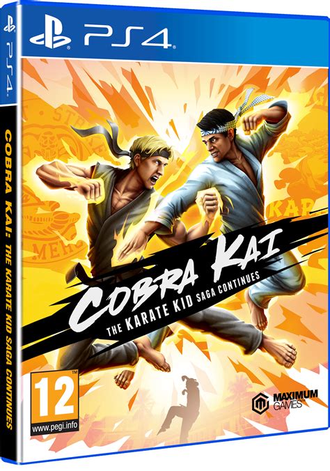 Cobra Kai Archive Of Our Ownregister 10