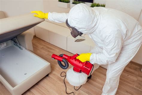Bed bug control & removal service. Identifying Flea vs Bed Bugs - This Old House