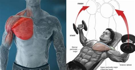 40 Minute Chest Workout For Bigger And Stronger Chest Fitness Workouts And Exercises