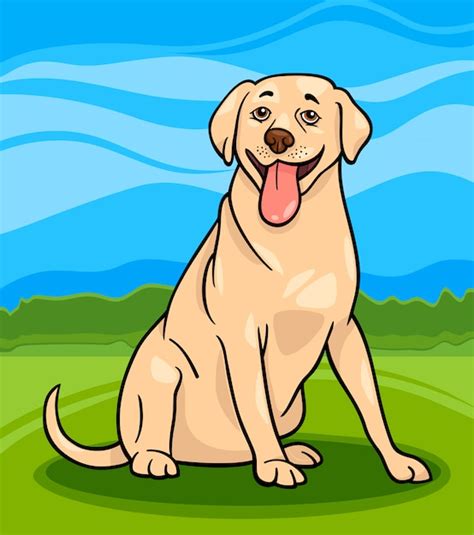 Premium Vector Labrador Retriever Dog Cartoon Illustration