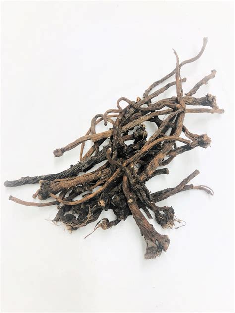 Qiang Huo Notopterygium Rhizome And Root Rhizoma Et Radix