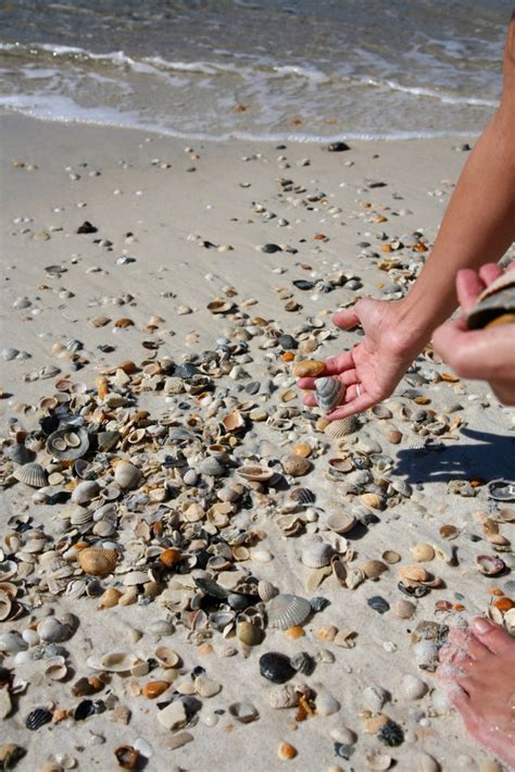 Beach Treasures Keepsakes You Can Find On The Beach