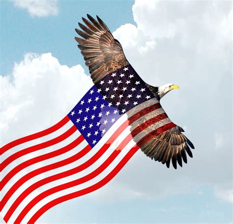 Bald Eagle With American Flag Baldeagleflyingamericanflagby