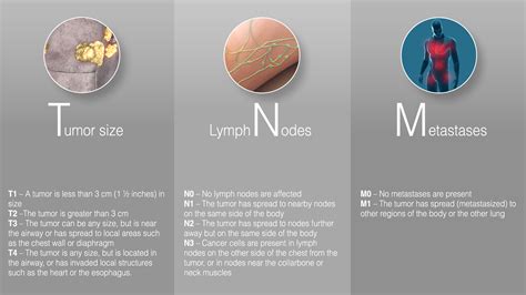 We performed this study to gauge current practice patterns among a diverse group of surgical pathologists. Breast Cancer Treatment varies with each stage ...