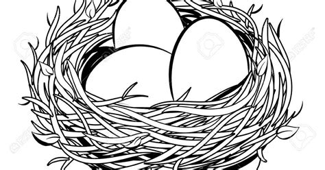 Nest With Eggs Page Coloring Pages