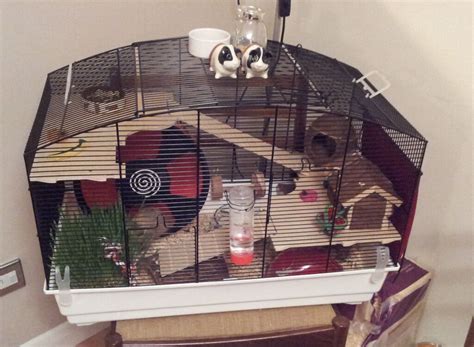 Large Syrian Hamster Cage From Zooplus And Accessories In Anstey