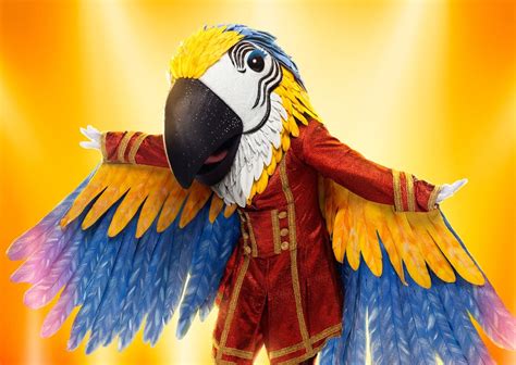 Who Is Macaw On The Masked Singer Parade