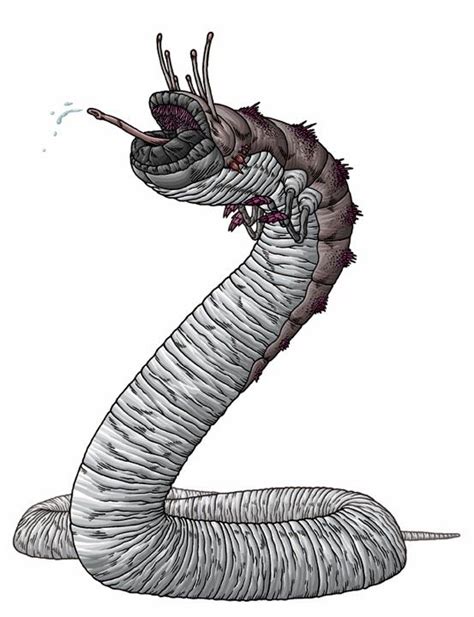 The Worm Fantasy Creatures Creature Concept Art Fantasy Monster
