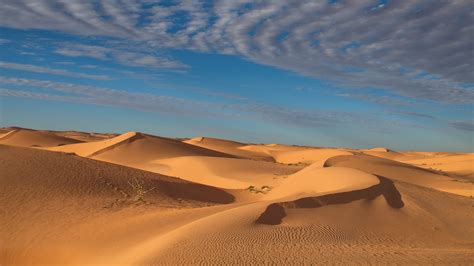Nature Landscape Desert Plants Sand Clouds Sky Sand Ripples